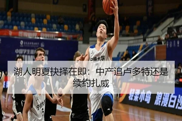 湖人明夏抉择在即:中产追卢多特还是续约扎威